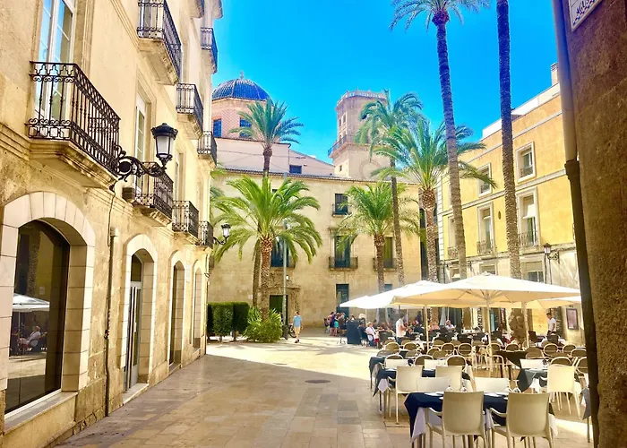Santa Cruz By Gloove Alicante